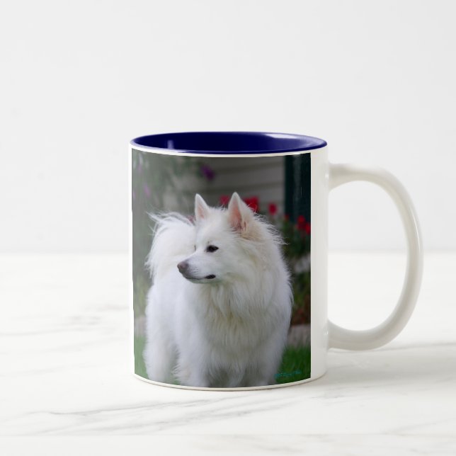 Taza esquimal americana (Derecha)