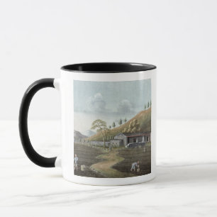 Taza Establecimiento del té (w/c en el papel)