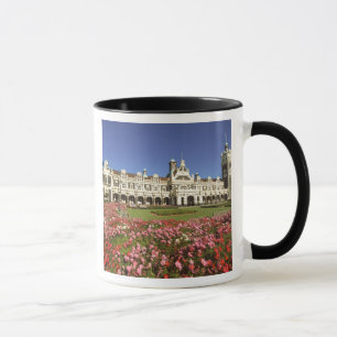 Taza Estación de Ferrocarril Histórica, Dunedin, Nueva 