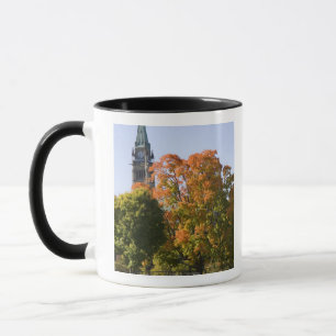 Taza Estacione junto al edificio del Parlamento en Otta