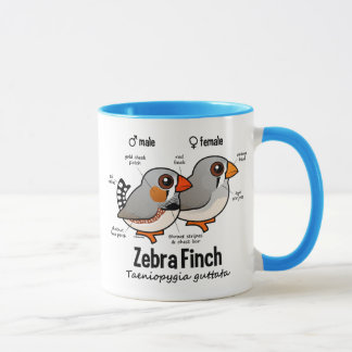 Taza Estadísticas del pinzón de cebra