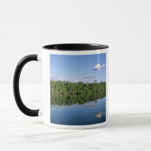 Taza Estado de Mato Grosso, Amazonia, Brasil. Boscoso