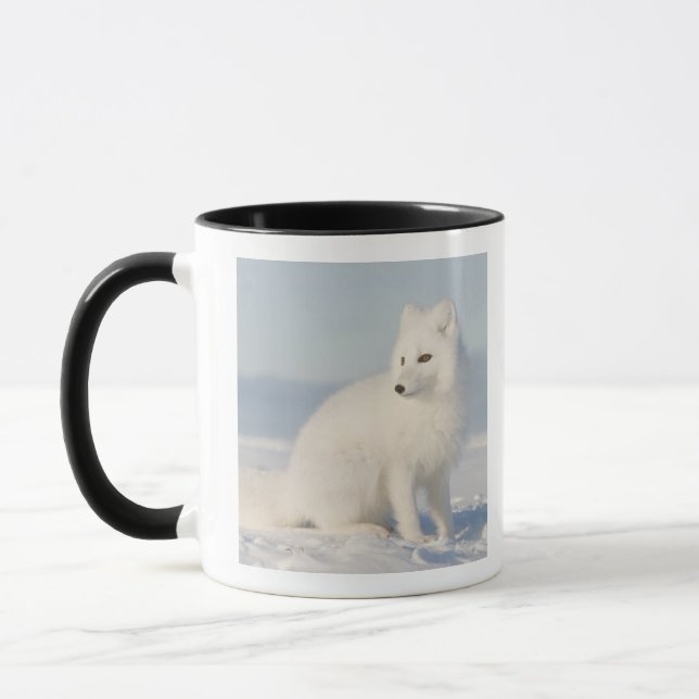 Taza Estados Unidos, Alaska, 1002 Llanura costera del Á (Izquierda)
