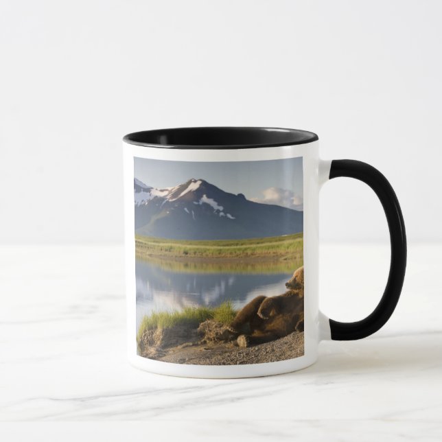 Taza Estados Unidos, Alaska, Parque Nacional Katmai, Os (Derecha)