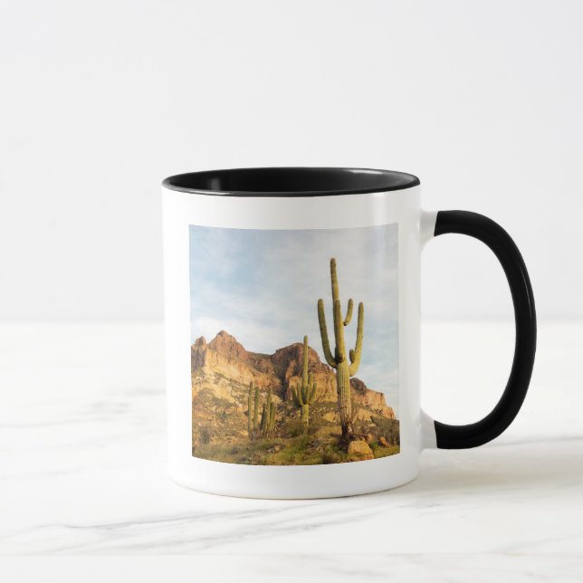 Taza Estados Unidos, Arizona, Bosque Nacional Tonto, Pi (Derecha)