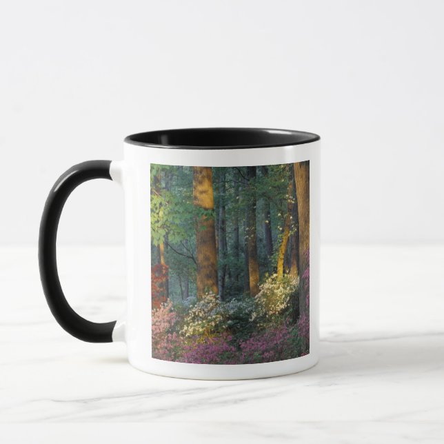 Taza Estados Unidos, Georgia, Jardines Callaway, Bosque (Izquierda)
