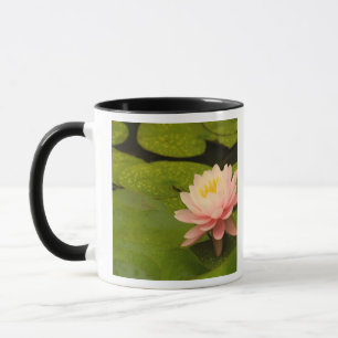Taza Estados Unidos, Maryland, Westminster, Union