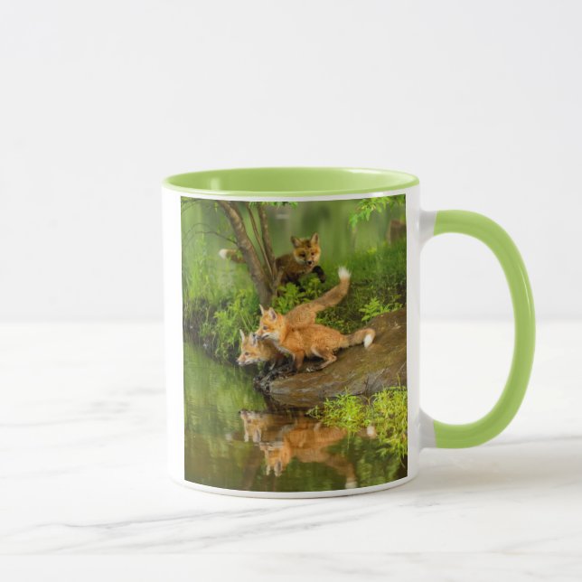 Taza Estados Unidos, Minnesota, Sandstone, Vida silvest (Derecha)