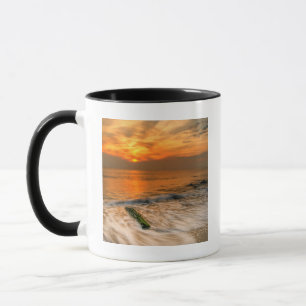 Taza Estados Unidos, Nueva Jersey, Cabo de Mayo. Escena