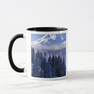 Taza Estados Unidos, Oregón, Bosque Nacional Deschutes,