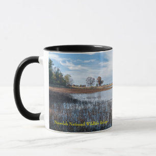 Taza estanques y marismas de necedah