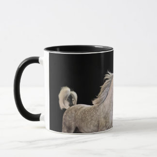 Taza esté libre. colección del caballo. gris árabe