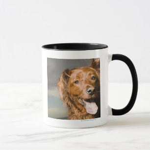 Taza Este perro es perro perdiguero de oro de la parte