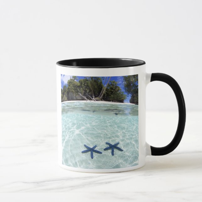 Taza Estrellas de mar, Islas Rock, Palau 2 (Derecha)