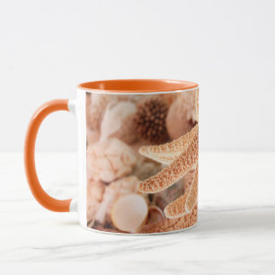 Taza Estrellas de mar secas vendidas como souvenirs 2