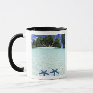 Taza Estrellas marinas, Islas Rock, Palau