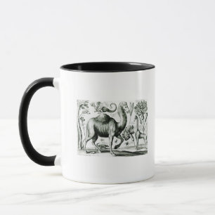 Taza Estudio de animales y de flores, grabado