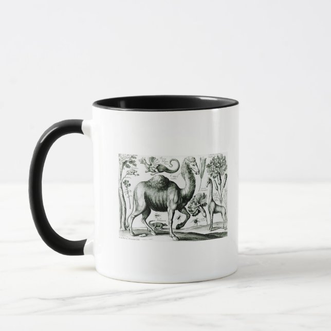 Taza Estudio de animales y de flores, grabado (Izquierda)
