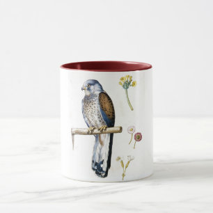Taza Estudio de Cestrel y Flor Menores, Arcimboldo