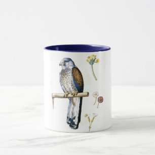 Taza Estudio de Cestrel y Flor Menores, Arcimboldo