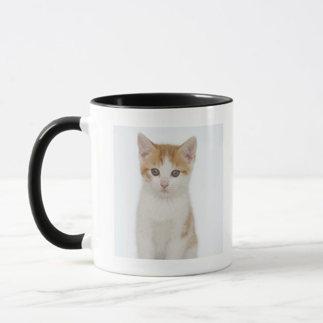 Taza Estudio tirado de gatito (Izquierda)