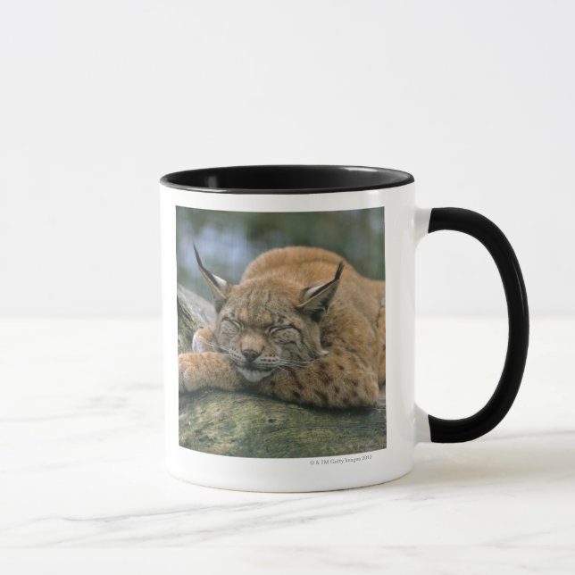 Taza Europ�_ischer Luchs, Eurasischer Luchs (lince (Derecha)