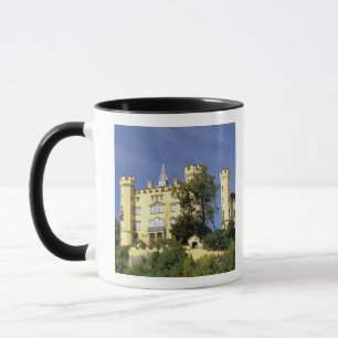 Taza Europa, Alemania, Baviera (Baviera), Fussen.