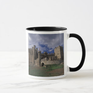 Taza Europa, España, Ponferrada, León. Templario