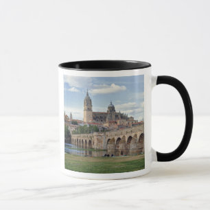 Taza Europa, España, Salamanca. El puente romano sobre