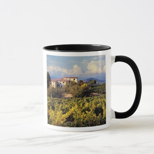 Taza Europa, Francia, Bonnieux. Los viñedos cubren (Derecha)