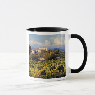 Taza Europa, Francia, Bonnieux. Viñedos cubren el