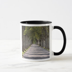 Taza Europa, Francia, Cereste. Los árboles bordean esta