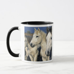 Taza Europa, Francia, Isla de la Camargue. Camargue 3