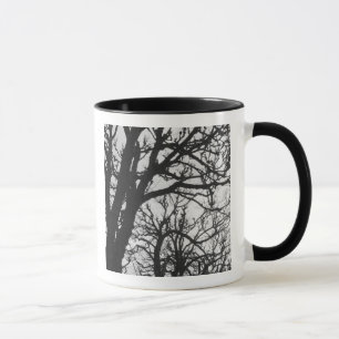 Taza Europa, Francia, París. Árboles de invierno, Marco