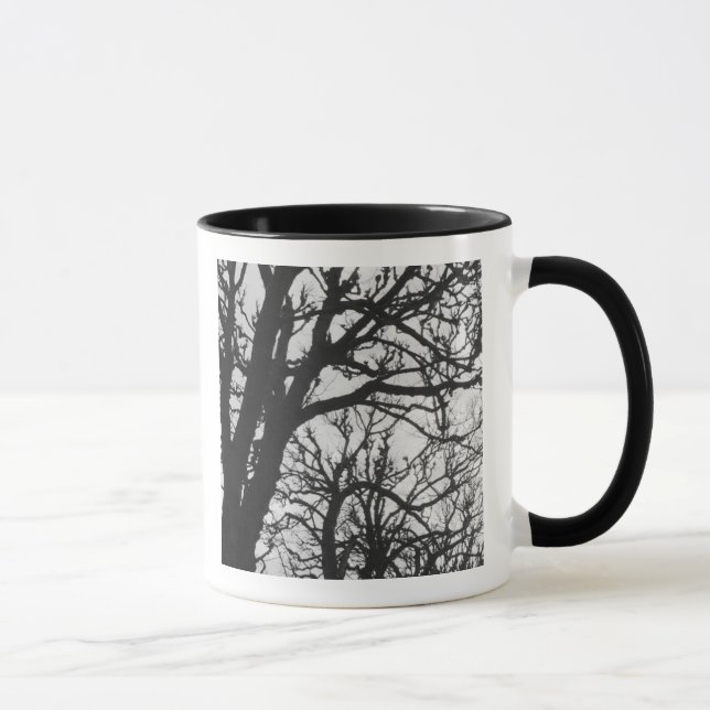 Taza Europa, Francia, París. Árboles de invierno, Marco (Derecha)