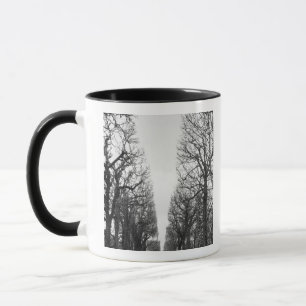 Taza Europa, Francia, París. Árboles de invierno, Marco