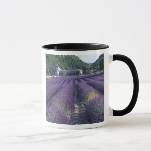 Taza Europa, Francia, Provenza. Campos de lavanda