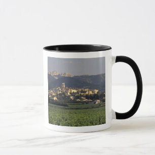 Taza Europa, Francia, Provenza, Vaucluse, SSablet,