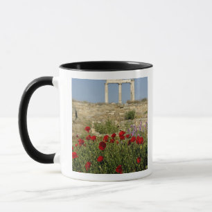 Taza Europa, Grecia, Cícladas, Delos. Ruinas de columna