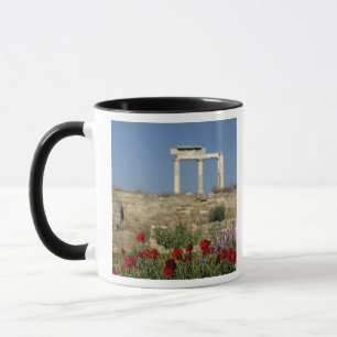 Taza Europa, Grecia, Cícladas, Delos. Ruinas de columna
