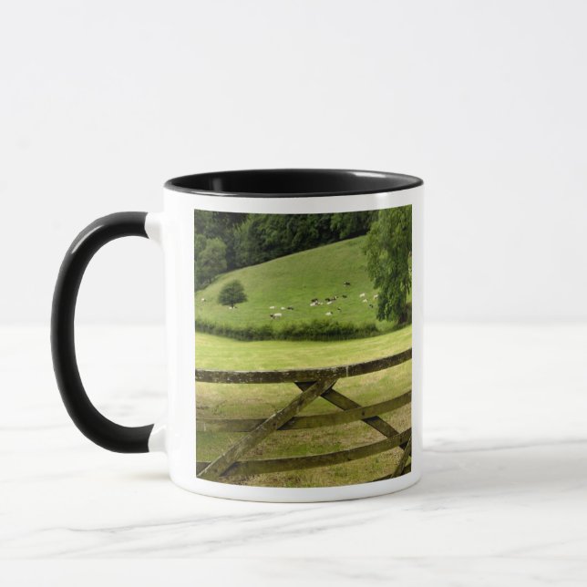 Taza Europa, Inglaterra, Lake District, Cumbria, (Izquierda)
