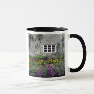 Taza Europa, Inglaterra, Teffont Magna. Flores llenan