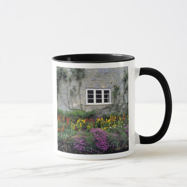 Taza Europa, Inglaterra, Teffont Magna. Flores llenan (Derecha)