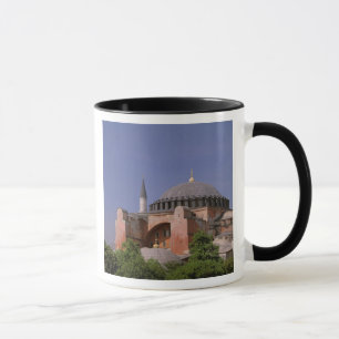 Taza Europa, Oriente Medio, Turquía, Estambul. Aya