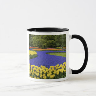 Taza Europa, Países Bajos, Holanda, Lisse, Keukenhof
