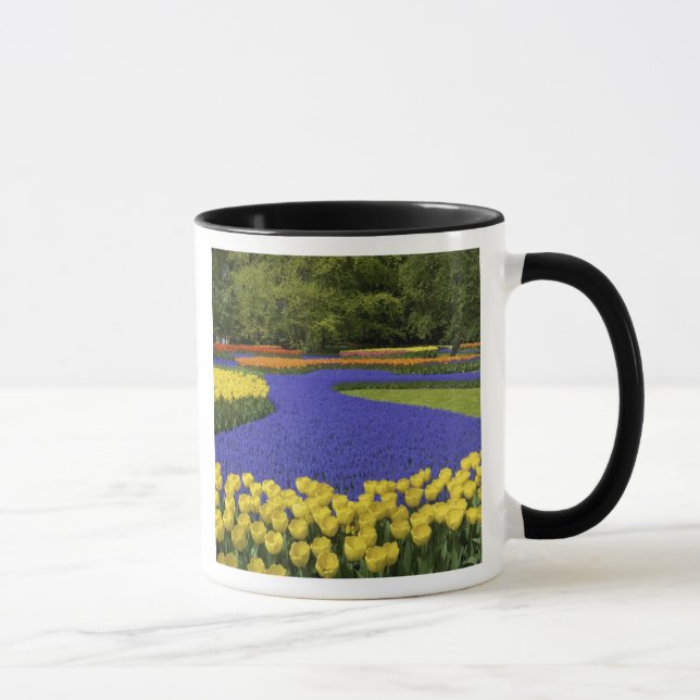 Taza Europa, Países Bajos, Holanda, Lisse, Keukenhof (Derecha)