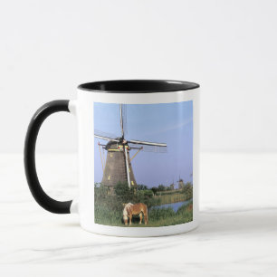 Taza Europa, Países Bajos, Zuid Holland, Kinderdijk.2