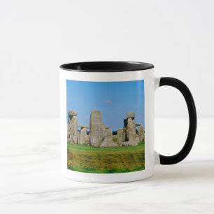 Taza Europa, Reino Unido, Inglaterra, Wiltshire,