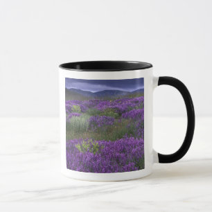 Taza Europa, Turquía, Capadocia. Paisaje rural 2