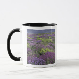 Taza Europa, Turquía, Capadocia. Paisaje rural 3
